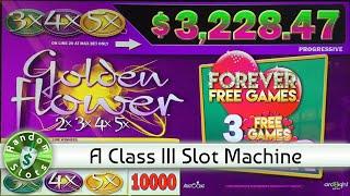 Golden Flower Class III slot machine bonus