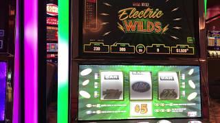 $45 LUCKY DUCKY ELECTRIC WILDS Regular Spins and Win  JB Elah Choctaw How To YouTube Administrative
