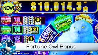 New️Fortune Owl Slot Machine Bonus