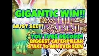 WHITE RABBIT (BIG TIME GAMING) GIGANTIC RECORD WIN!!! BIGGEST LINE HIT ON Y TUBE & WITHDRAWAL.2 OF 6