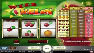 Wild Melon slot machine by Play'n Go | Game preview by Slotozilla