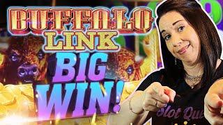THE NEW BUFFALO LINK and a BIG BUFFALO LINK WIN !!!