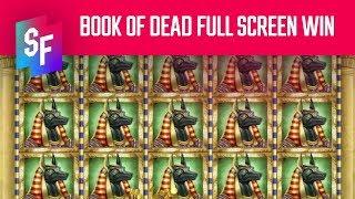Massive Book Of Dead Full Screen Win (SlotsFighter)