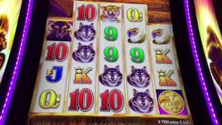 Buffalo Grand Slot Machine Free Spin Bonus Mirage Casino Las Vegas