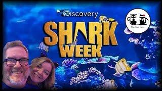 PIGGY BANKIN'  SHARK WEEK WITH COOL CAT MARY (Part 2 of 2)