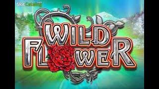 WILD FLOWER (BIG TIME GAMING)  MASSIVE HIT ON JUST THE NINES!!!