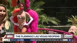 Re-Viva Las Vegas: Free Parking, Showgirls At The Flamingo