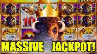 Go Big or Go Home!  Max Betting Buffalo Gold for Massive Jackpots!