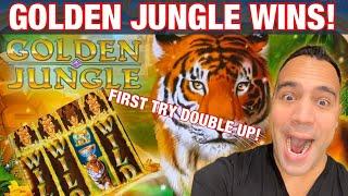 GOLDEN JUNGLE by IGT!!! | MIGHTY CASH LAS VEGAS!  | DRAGON LINK ️