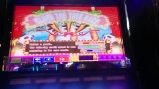 Aruze Gaming Bamboo Panda Slot Machine Bonus (2 clips)