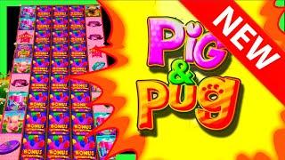 • FIRST TO YOUTUBE! • MASSIVE WINNING On Pig & Pug Slot Machine W/ SDGuy1234