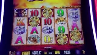 Buffalo Gold Slot Machine  Worst Bonus !!!!!