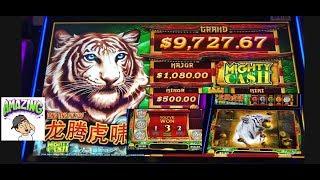 Sometimes $20 is all it takes️Nice wins on Mighty Cash
