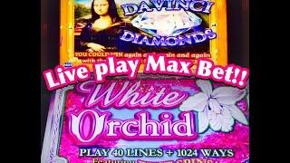 **MAX BET** Davinci Diamonds Slot Machine, White Orchid Slot, Live Play!!!By IGT!