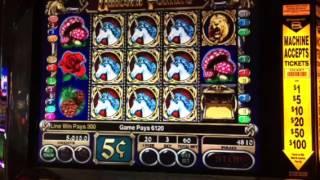 TBT Enchanted Unicorn Slot Machine $.05 100X Line Hit The D Casino Las Vegas