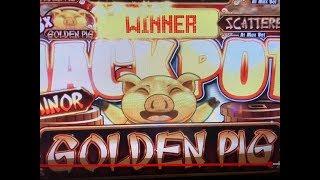 Slots Weekly highlights #1For you who are busyBlack Diamond Slot, Golden Pig, San Manuel Casino