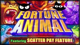 Dreamstar  Fortune Animal  The Slot Cats