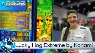 Lucky Hog Extreme Slot Machine by Konami at #IGTC2023