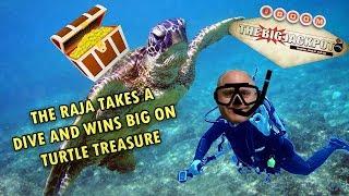 The Raja Takes a Dive & Wins BIG on Turtle Treasure  | The Big Jackpot