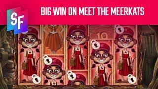 Lazer Bass Hits A Big Win On Meet The Meerkats (SlotsFighter)