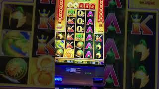MASSIVE HIT on 5 Coin Frenzy Slot Machine! #shorts