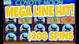 OMG!  MASSIVE LINE HIT JACKPOT PLAYING MAX BET COYOTE MOON AT $200 PER SPIN!