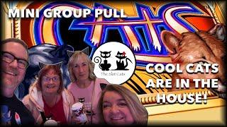 Mini Group Pull with Cool Cats Su & Margaret ‍‍ Fu Dao Le  88 Fortunes | Cats