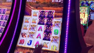 Buffalo Wheel Slot Machine Bonus in Las Vegas!