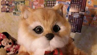 Kitty  mmmmmmMMM..says