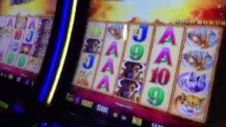CASINO LIVE PLAY