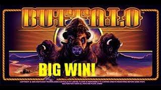 BIG WIN KENNY STYLE!! Aristocrat Buffalo Original Max Multiplier