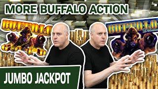 Even MORE Buffalo Action!  GIANT JACKPOT on Buffalo Deluxe + Buffalo Gold Too!