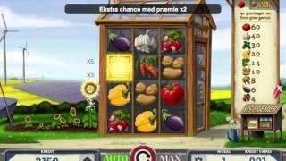 Sunny Farm - en landlig spilleautomat