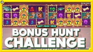 Bonus Hunt Challenge with 13 BONUSES