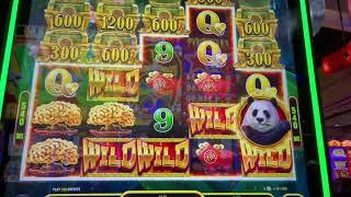 Panda Treasures/Pirate Treasures Slot Play Big Wins