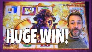 IT'S MY 2nd BIGGEST BUFFALO WIN EVER!   Lots of slot machine pokie bonus wins!