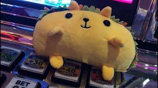 Taco Cat Tuesday  12/18/2018
