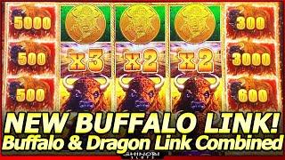 Buffalo Link Slot Machine - NEW Slot!  Buffalo and Dragon Link Combined!  The Best of Both Slots!