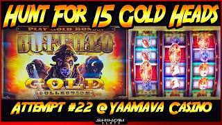 Hunt for 15 Gold Heads! Episode #22 on Buffalo Gold 3-Reel!  First Time Playing 3-Reel Version!