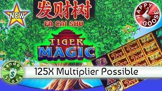 ️ New  Fa Cai Shu, Tiger Magic slot machine Nice Win