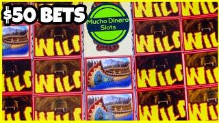 WILDS ON THE SCREEN  FREE GAMES  BEAR WILDS HIGH LIMIT SLOT  $50 BETS