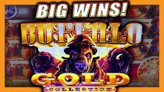BIG BONUS WINS!  BUFFALO GOLD SLOT MACHINE  LIVE PLAY & BONUS