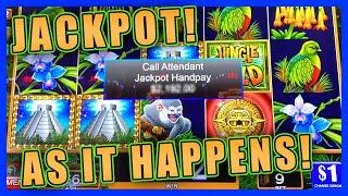 MY JUNGLE WILD JACKPOT HANDPAY and MORE!!  HIGH LIMIT SLOT PLAY  HOW JAMES BOND BROUGHT ME LUCK!