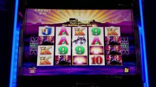 $1000 Live Play at Buffalo Slot Machine