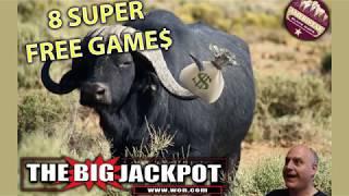 The Raja Wins On Buffalo Gold During 8 Super Free Games!  | The Big Jackpot