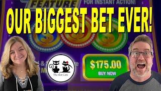 WE ARE CRAZY CATS! $175 OUR BIGGEST BET EVER ON PIGGY BURST COIN TRIO!!