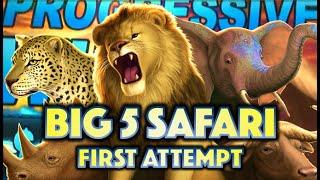 BIG 5 SAFARI PROGRESSIVE WINNER!?  FEELING INSPIRED BY DAN! Slot Machine Bonus (IGT)