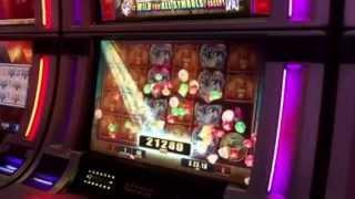 Bull Elephant Slot Machine Bonus Huge Win By My Mom Planet Hollywood Casino Las Vegas