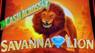 ALMOST GAVE UP, BUT FINALLY  LOT OF LIONS CAME !!SAVANNA LION (CASH ACROSS) Slot $130 Free Play栗