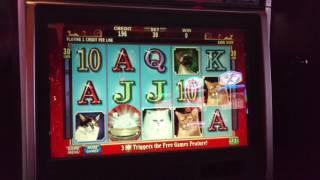 $30 High Limit LIVE Play Kitty Glitter Slot machine Pokie IGT
